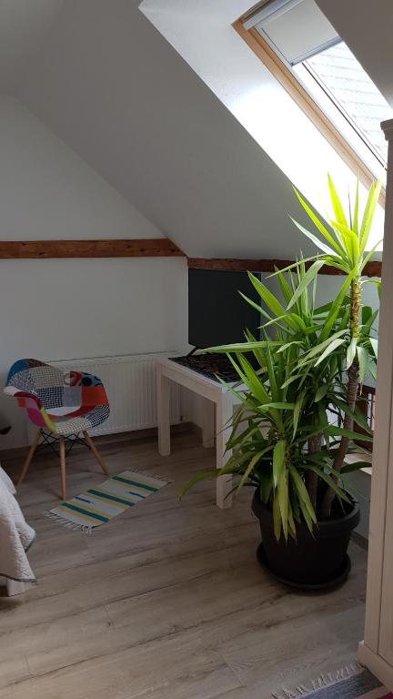 Otto's Guesthouse - Double Room With Private Bathroom