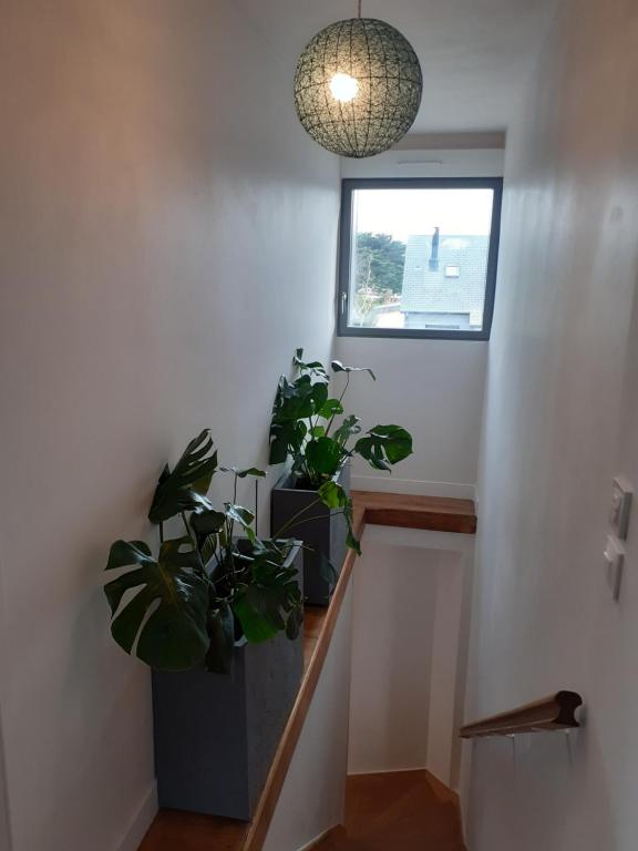 Fotografie z fotogalerie ubytování Villa Jules Petit Gîte v destinaci Agon Coutainville