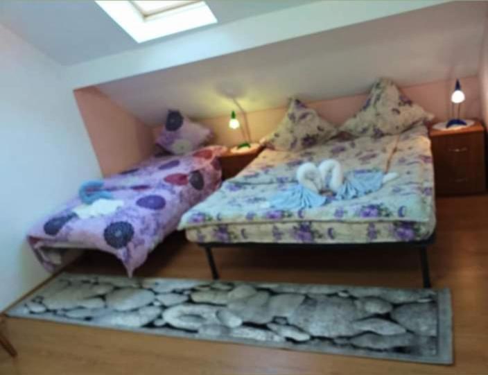 Casa Florilor Barcut - Tripla Stanza