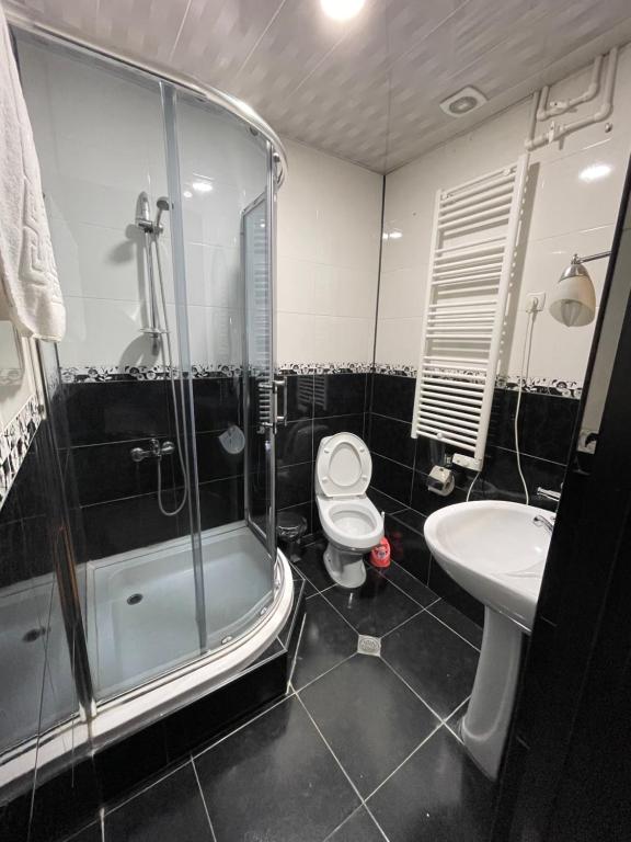 a bathroom with a shower and a toilet and a sink at Hotel Elite House in Mestia