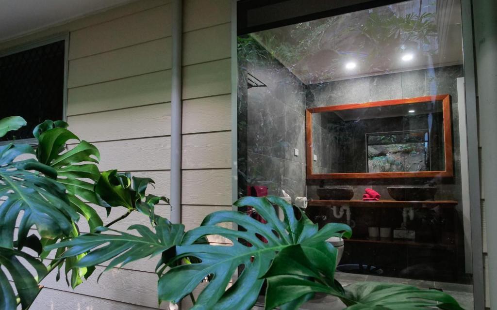 Fotografie z fotogalerie ubytování Daintree Secrets Rainforest Sanctuary v destinaci Diwan