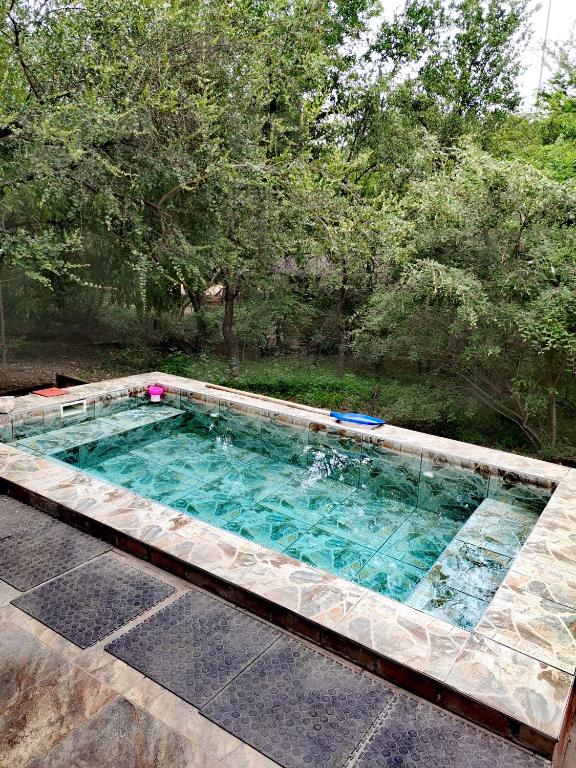 a large swimming pool with blue water and trees at BUFFALO in Marloth Park
