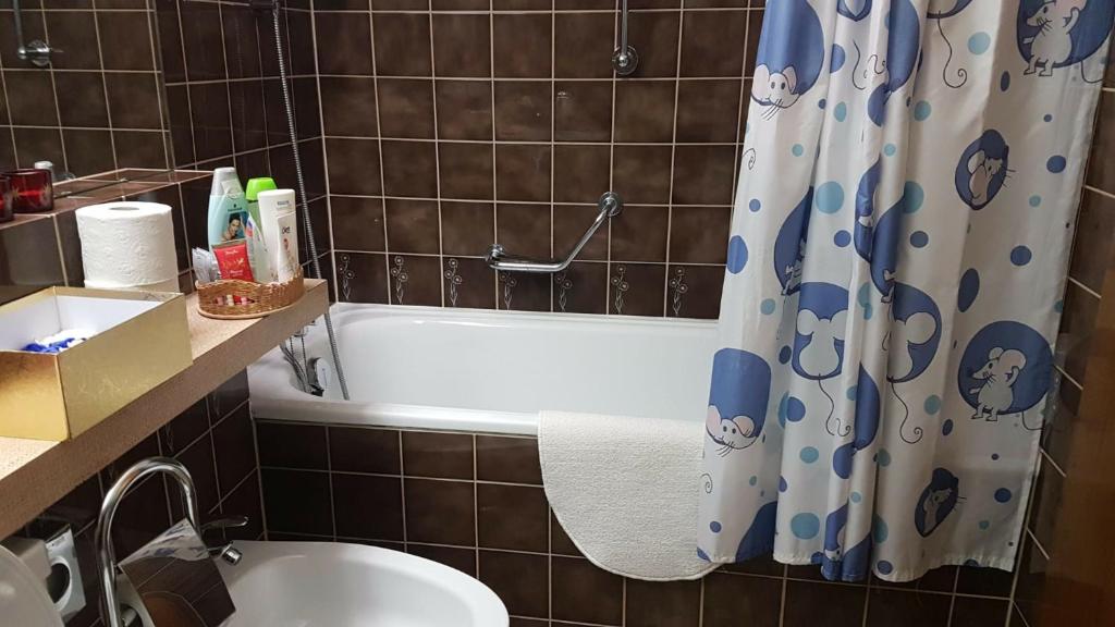 Koupelna v ubytování Disentiserhof Mila