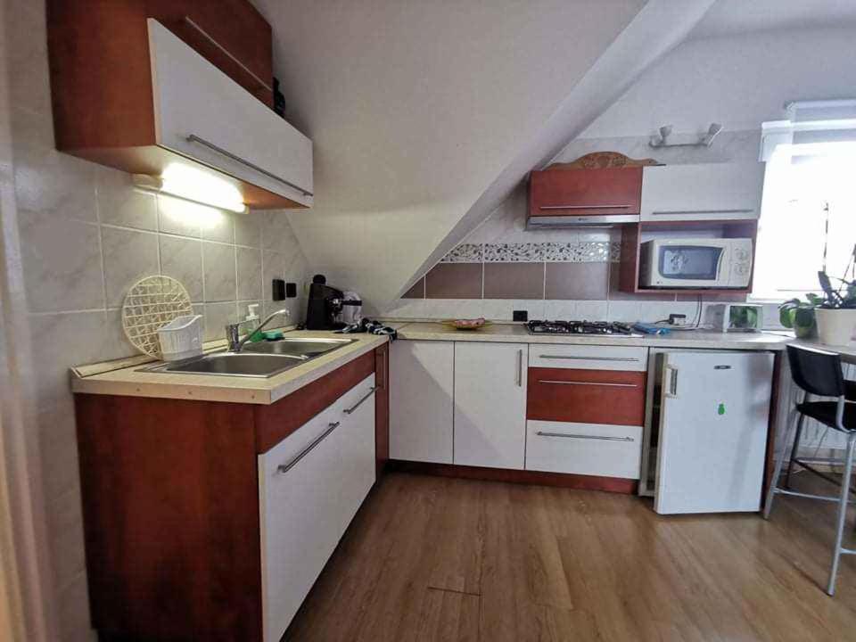 una piccola cucina con lavello e fornello di Apartment in Balatonakali 36227 a Balatonakali