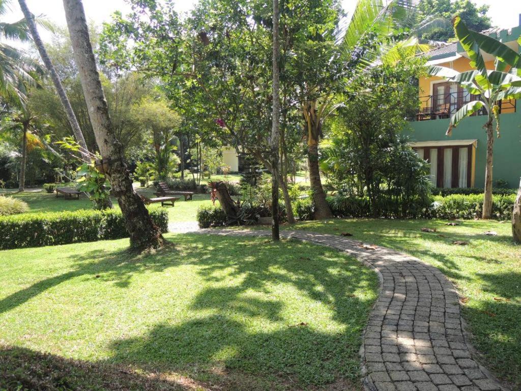 Zahrada ubytování Hostel Residence Bentota