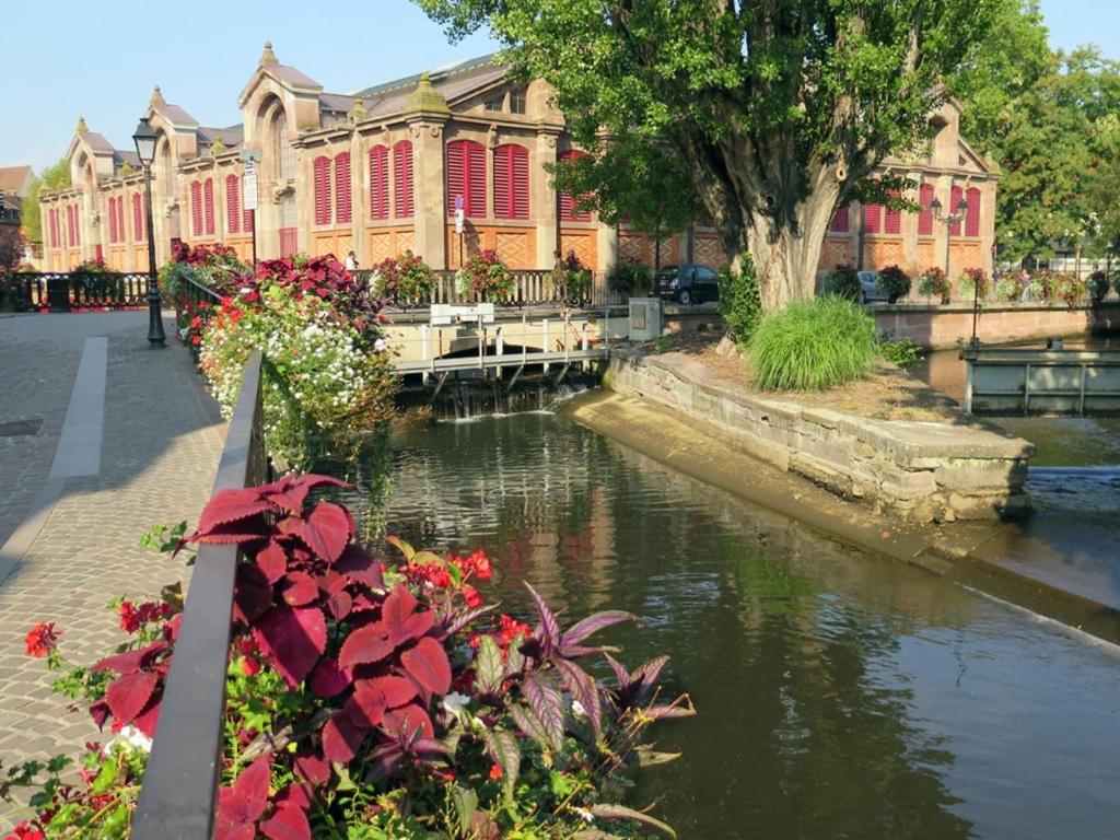 New ! VUE PETITE VENISE-PLACE TO BE OLD TOWN - PARKING – photo 28