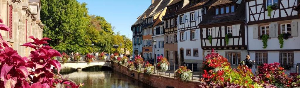 New ! VUE PETITE VENISE-PLACE TO BE OLD TOWN - PARKING – photo 30