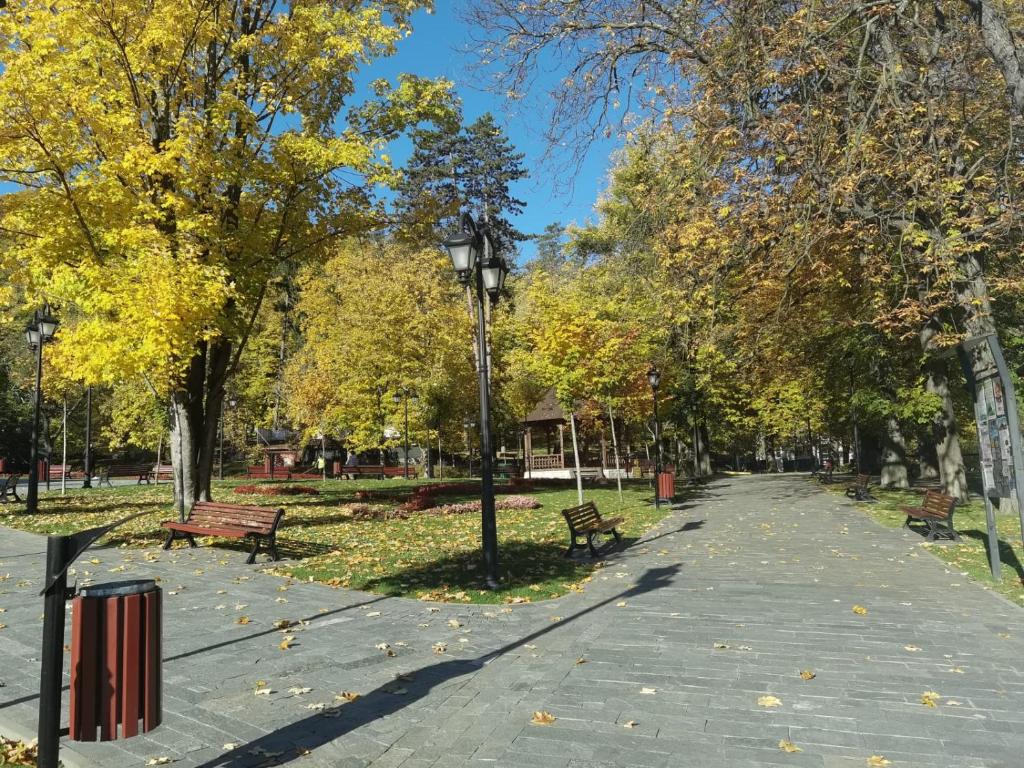 Foto dalla galleria di Pensiunea Doro a Caciulata