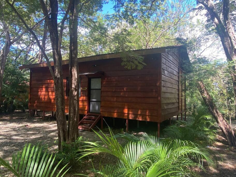 una cabaña de madera en el bosque con árboles en Casa Rustica, en Brasilito