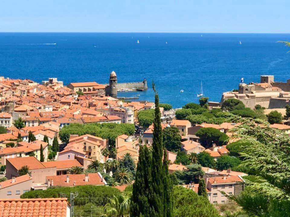 einen Blick auf eine Stadt mit dem Meer im Hintergrund in der Unterkunft Appartement Sous le Soleil in Collioure