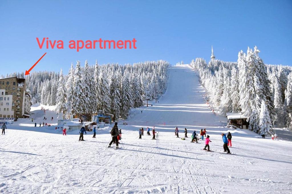 Viva 6 apartment in hotel Stenata Pamporovo зимой