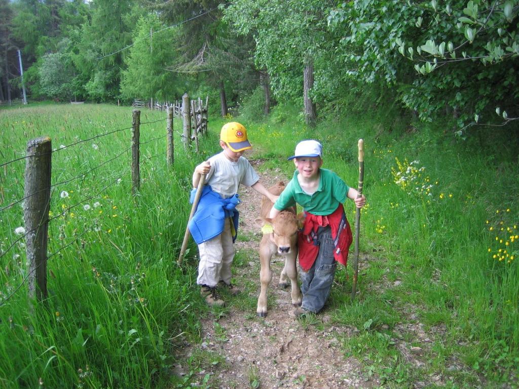 Hosté ubytování Schornhof