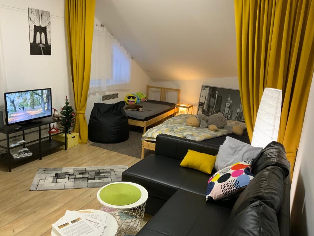 a living room with a black couch and a tv at Apartmány Tylovice in Rožnov pod Radhoštěm