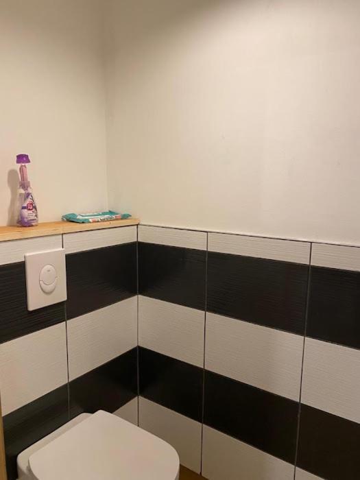 a bathroom with a white toilet and a black and white wall at Gite l ORIGINE in Ornans