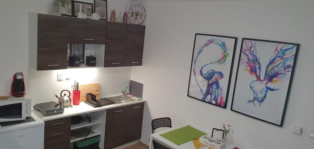 Kuchyň nebo kuchyňský kout v ubytování Apartmány Tylovice