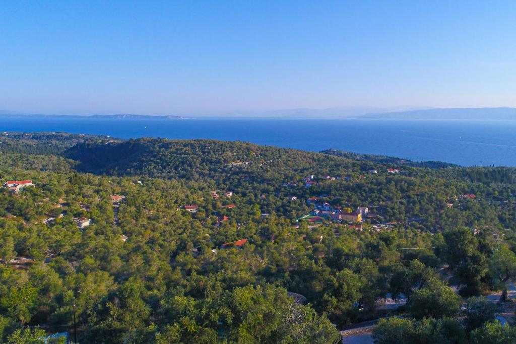 Príroda v okolí vily
