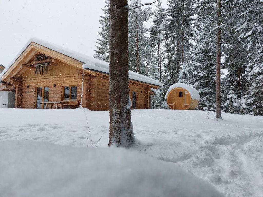 Ferienhaus - Chalet - Lechtraum talvel