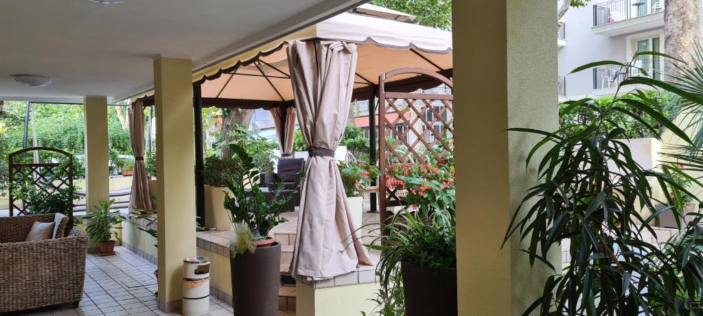 Zahrada ubytování Hotel Beppe