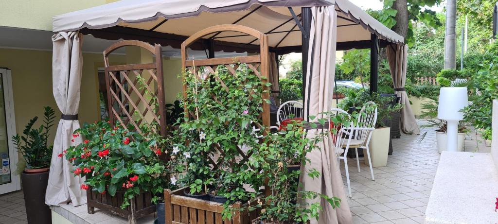 Zahrada ubytování Hotel Beppe