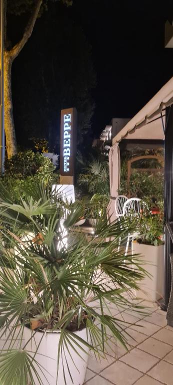 Zahrada ubytování Hotel Beppe