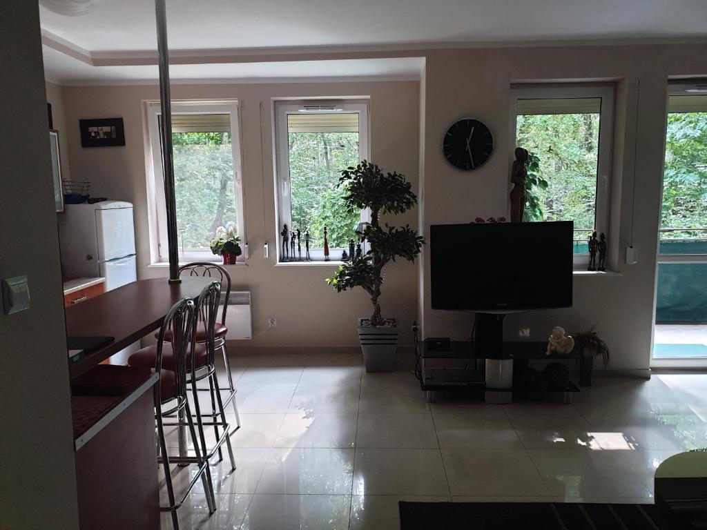Telewizja i/lub zestaw kina domowego w obiekcie Apartament Maria