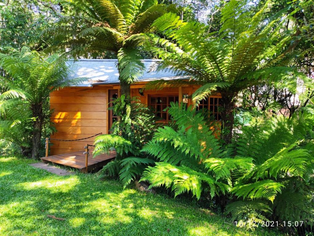 Cabaña pequeña con banco en un jardín en Bangalô do Xaxim, en Gramado