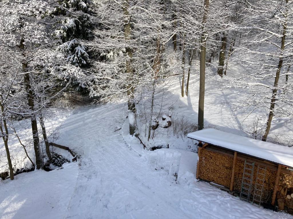 Šedivinské apartmány - rodinné apartmány v Orlických horách v zimě