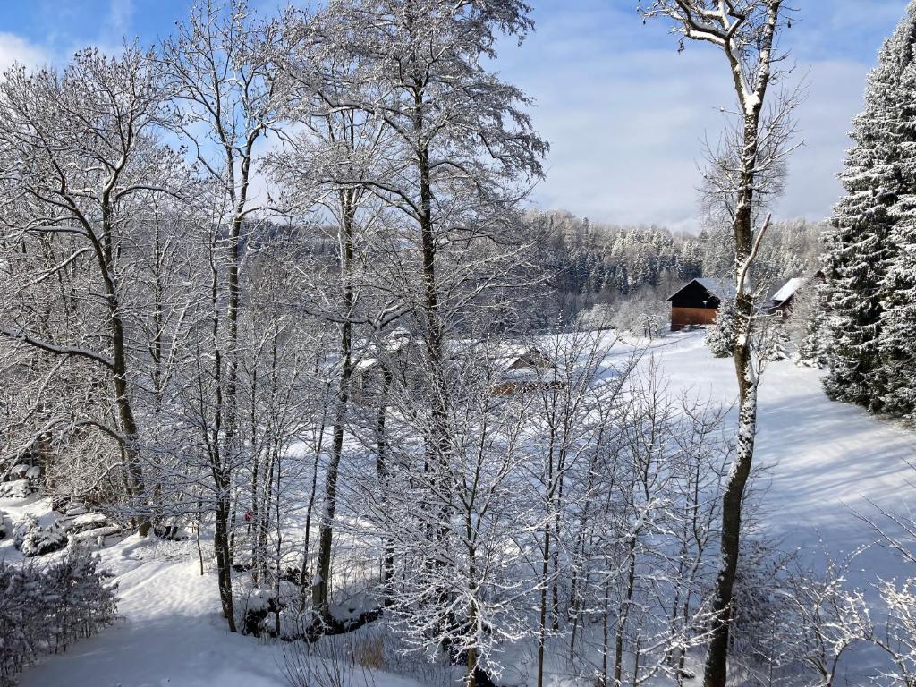 Šedivinské apartmány - rodinné apartmány v Orlických horách v zimě