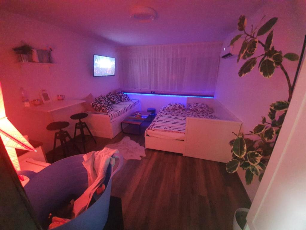 クティナにあるStudio apartman Tamaiのベッド2台と紫色のライトが備わる客室です。