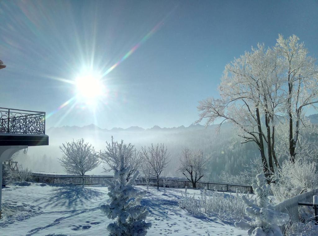 ein schneebedecktes Feld mit der Sonne am Himmel in der Unterkunft Kosodrzewina - apartamenty rodzinne in Bukowina Tatrzańska