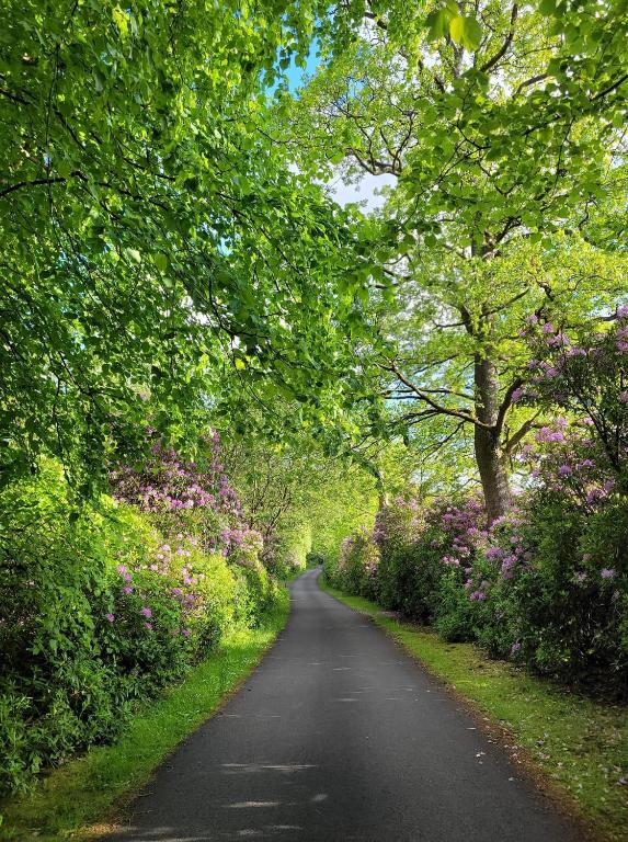 The West Highland Way Pitches