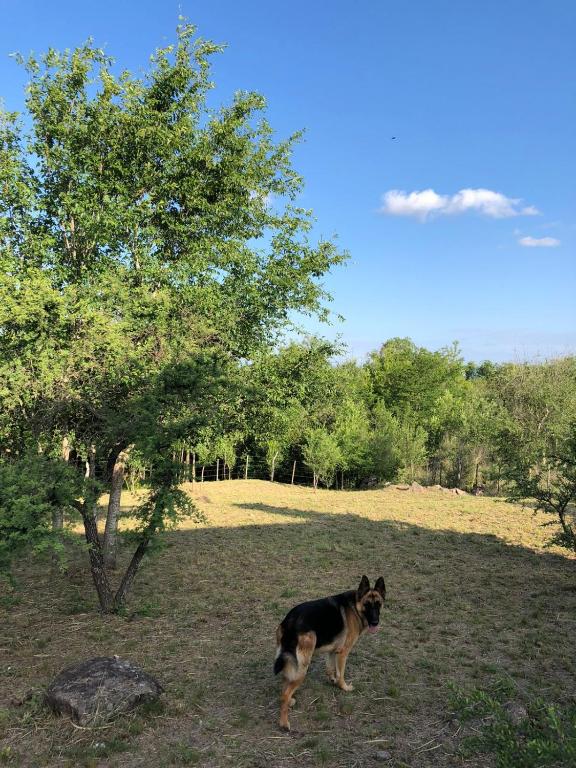Villa Amancay – Photos 5