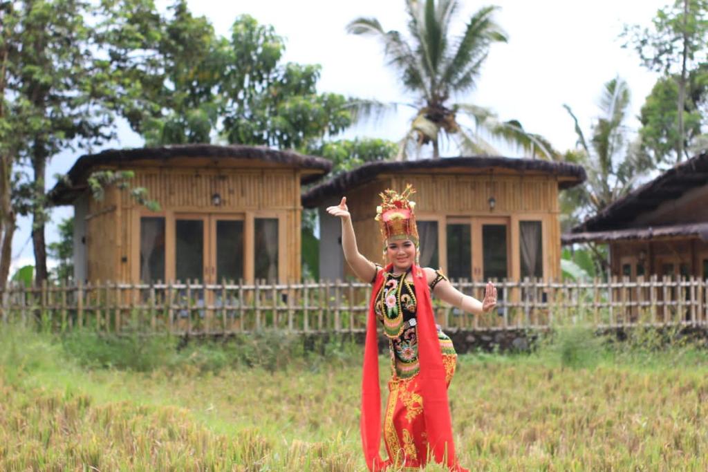 Galeri foto Sawah Ijen di Licin