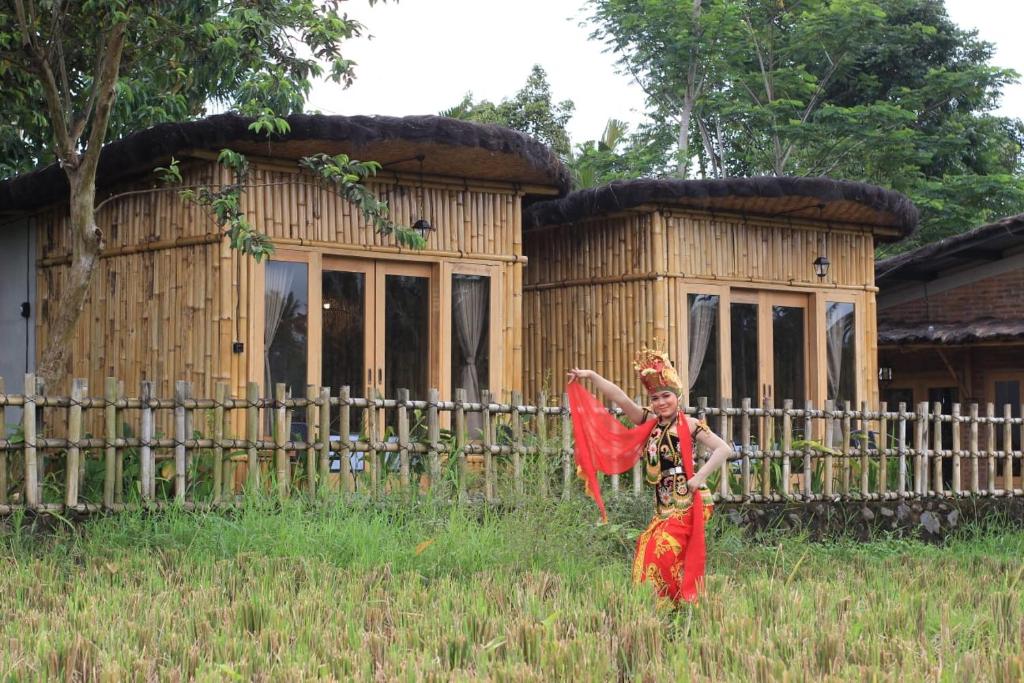 Zahrada ubytování Sawah Ijen