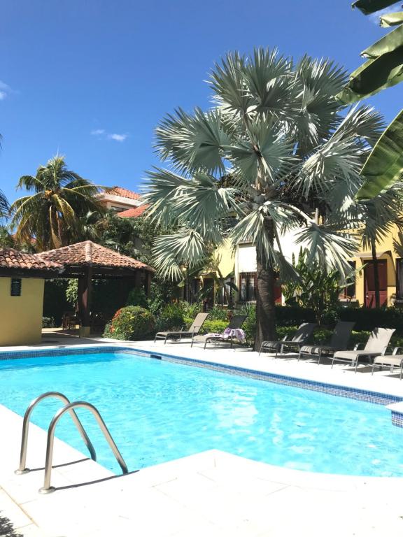 einen Pool mit Stühlen und einer Palme in der Unterkunft Casa Sueno Colibri in Tamarindo