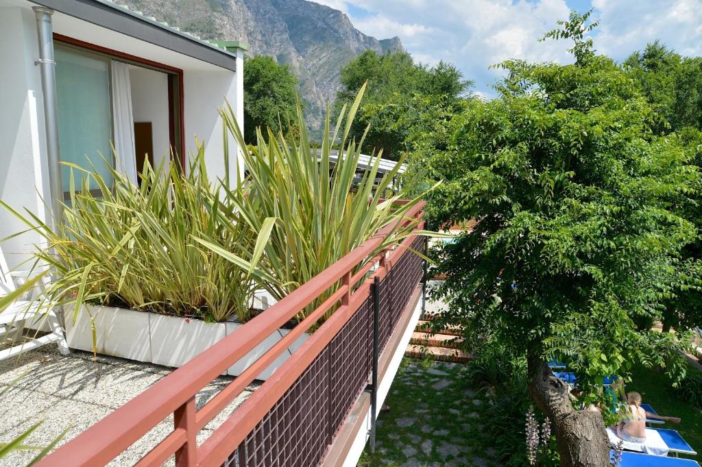 Nespecifikovaný výhled na hory nebo výhled na hory při pohledu z hotelu