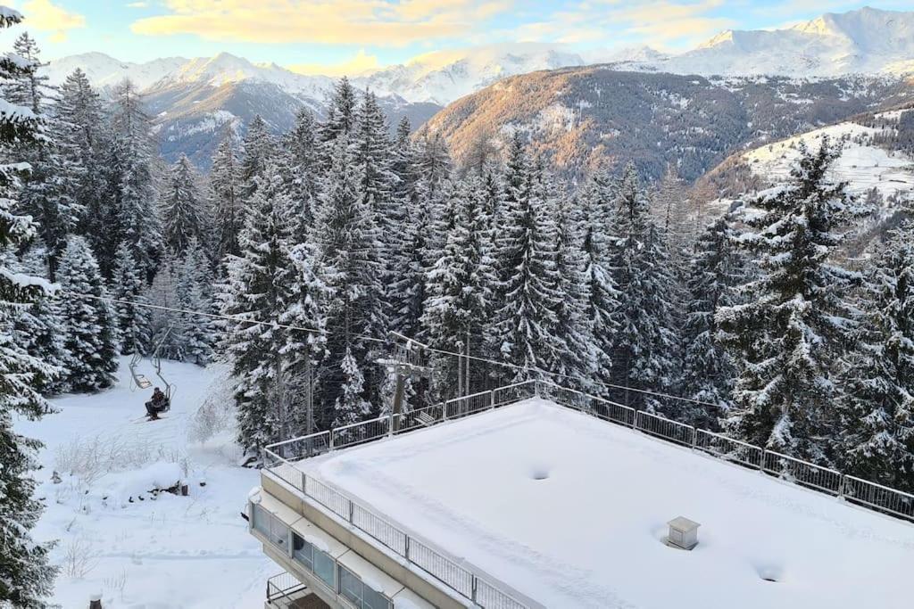 vista su una pista sciistica con alberi innevati di Trilocale sulle piste con vista sulla ValdiSole a Marilleva