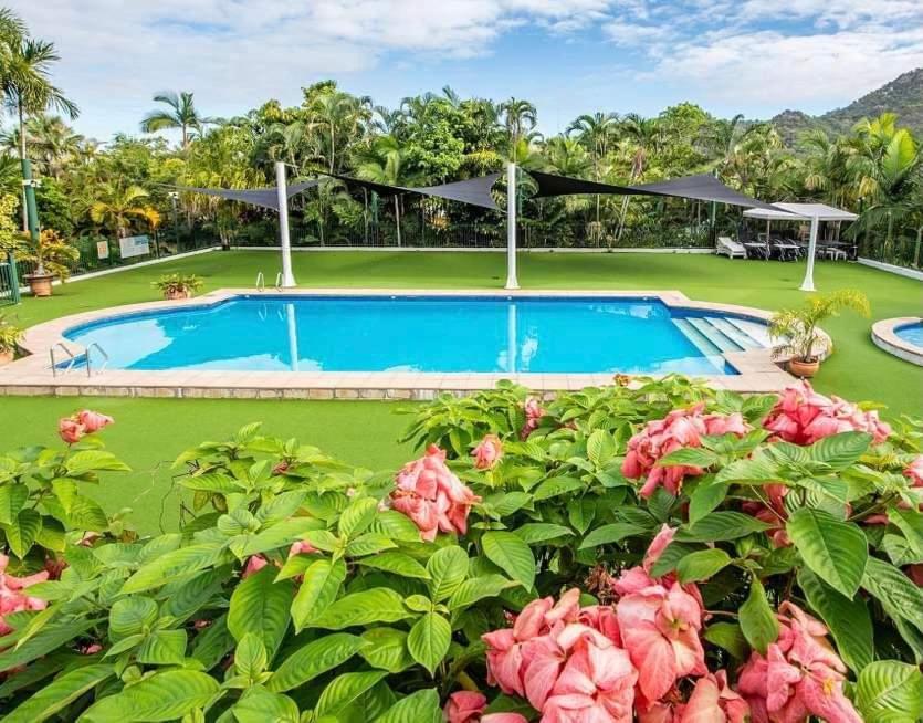 una piscina en un complejo con flores rosas en Nature Retreat on Mandalay en Nelly Bay