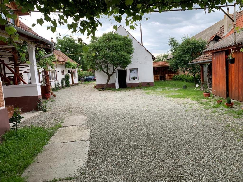 uma entrada que leva a uma casa branca com uma árvore em Casa Mari em Cartisoara