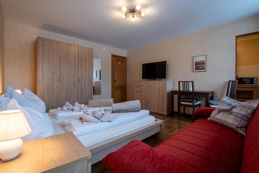 TV a/nebo společenská místnost v ubytování Bergzeit Appartments