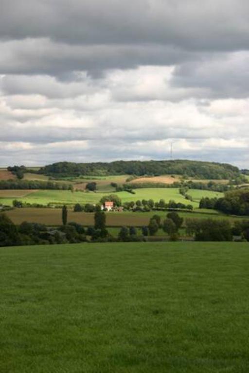 a field of green grass with a house in the distance at The Dutch Hills in Gulpen