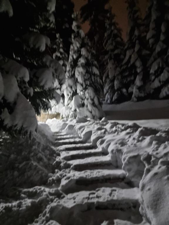 Chalet Escapade with Sauna talvel