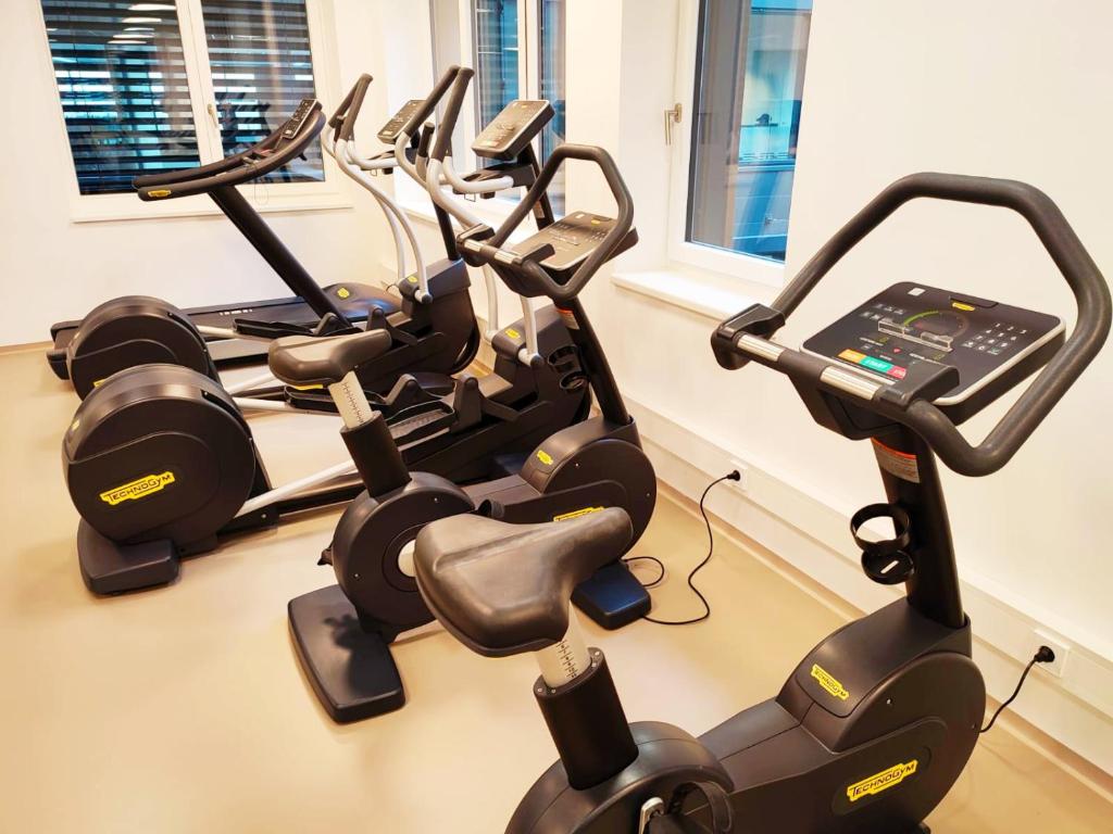 Fitness centrum a/nebo fitness zařízení v ubytování Panorama Apartment Vienna - free parking, sauna & fitness