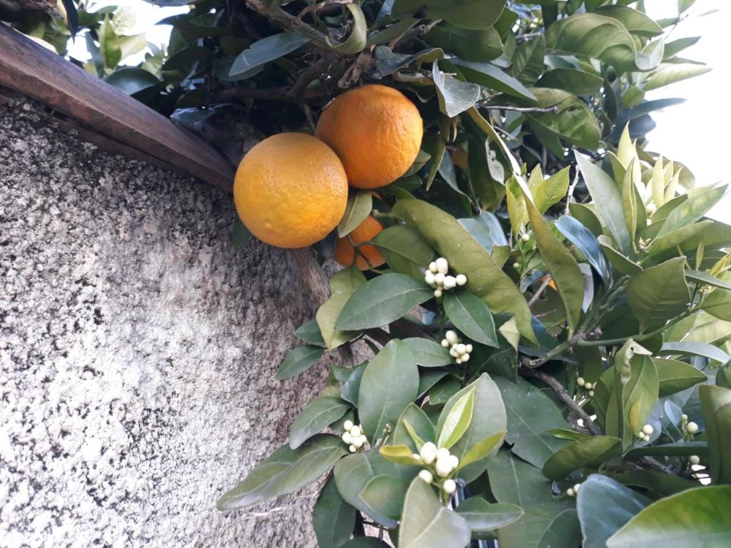 Foto de la galería de Experience unique dans un lieu magique en Vergèze