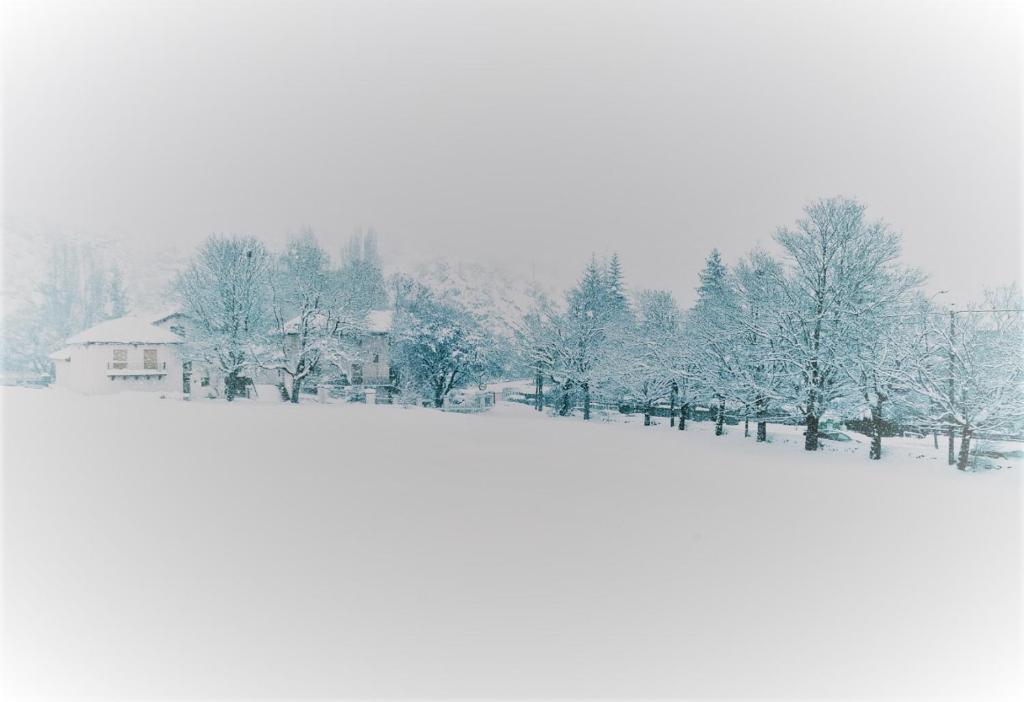 ein schneebedecktes Feld mit Bäumen und ein Haus in der Unterkunft Villa Rosalía in Villanúa