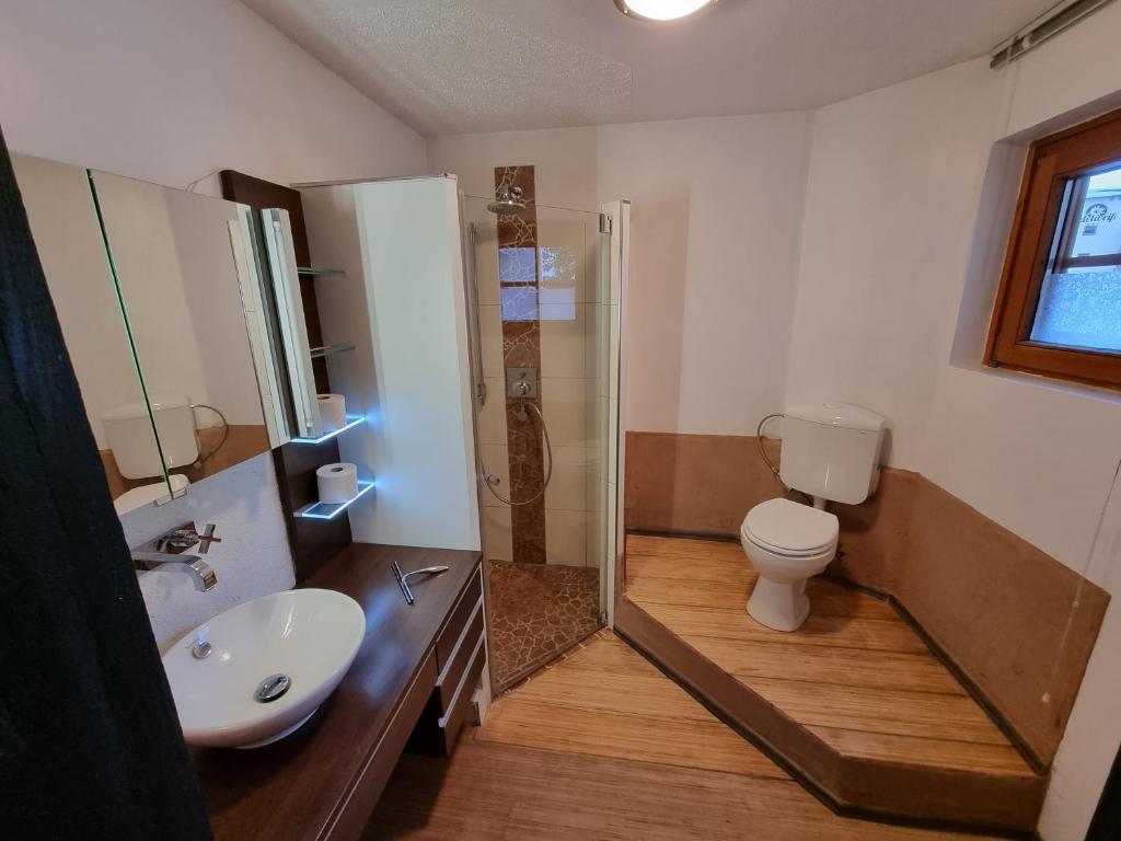 y baño con aseo, lavabo y ducha. en Alina's DIY-Haus St.Jakob, en Innere Großrotte