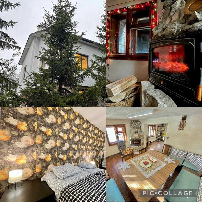 Kassandrov Guest House Ravnogor/ Касандрова къща Равногор