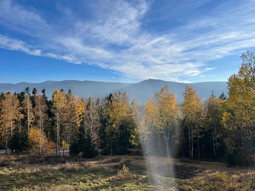 Príroda v okolí apartmánu