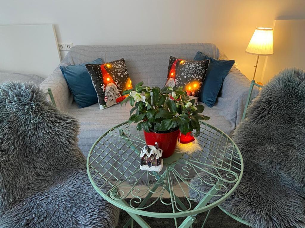 a glass table with a potted plant on a couch at Ferienwohnung Pension Am Berg in Villingen-Schwenningen