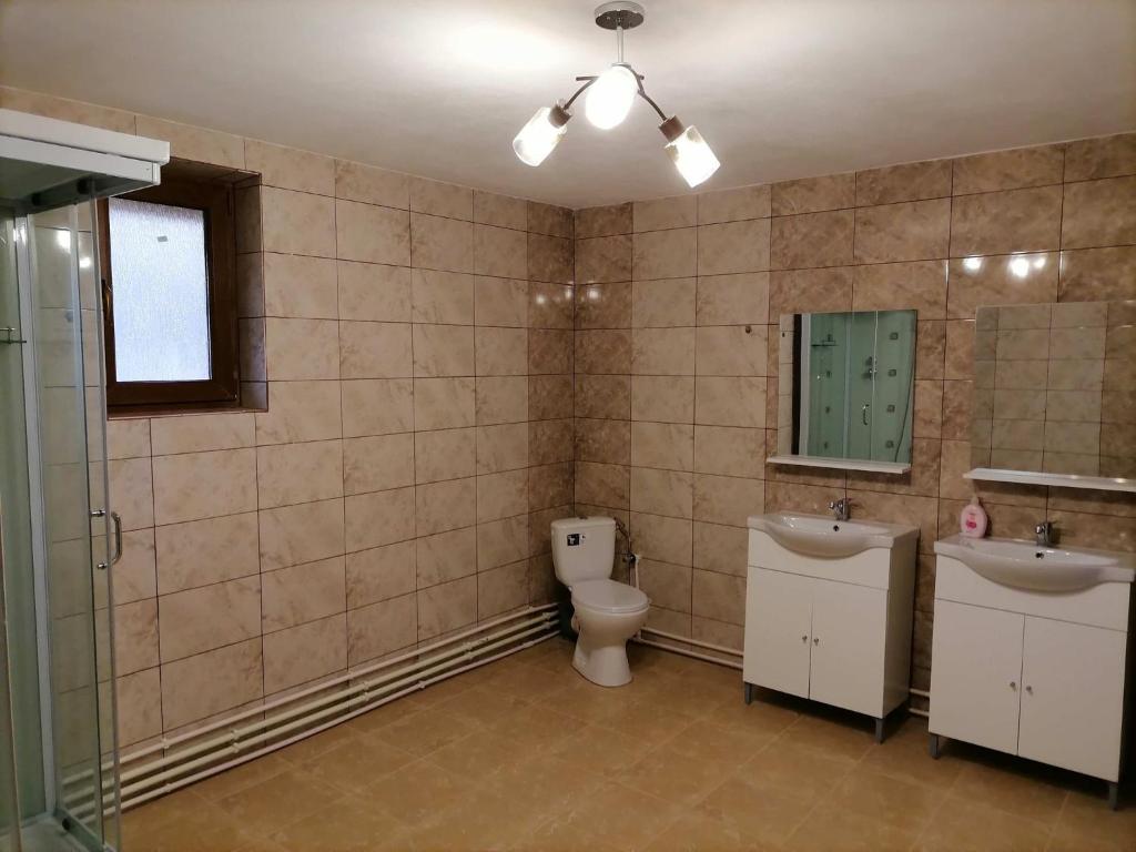 Ванная комната в Pensiunea Aryana